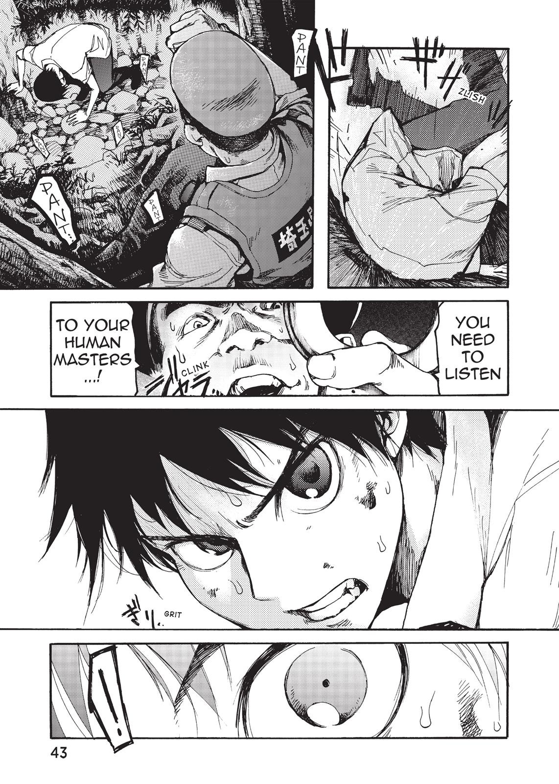 Page 43