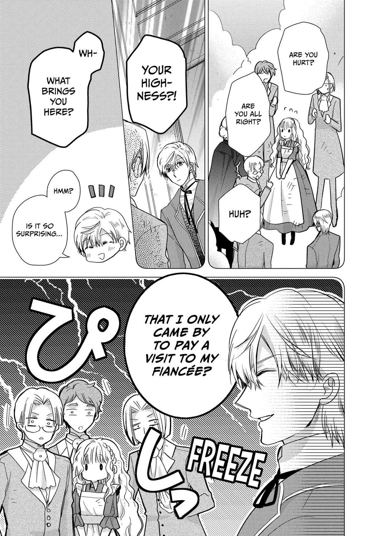 Bibliophile Princess Act 62 9