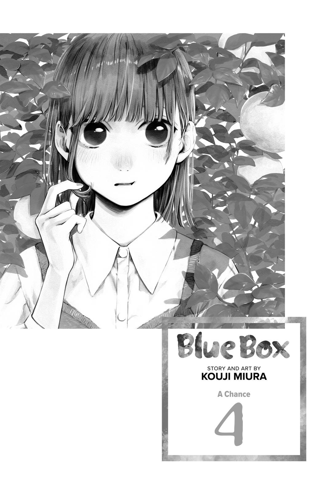 Blue Box # 26 4