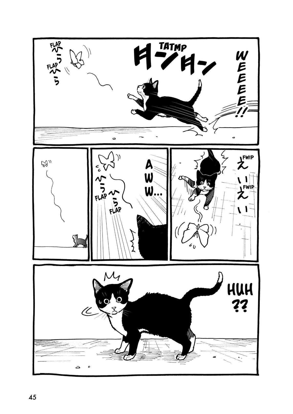 Page 45