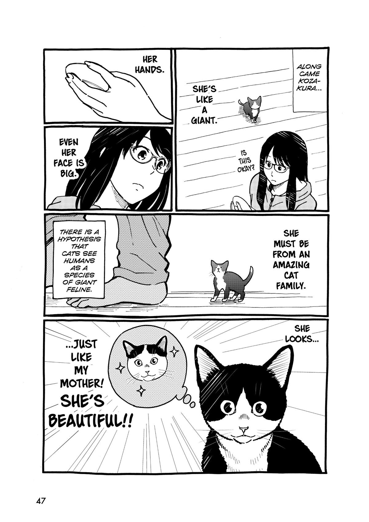 Page 47
