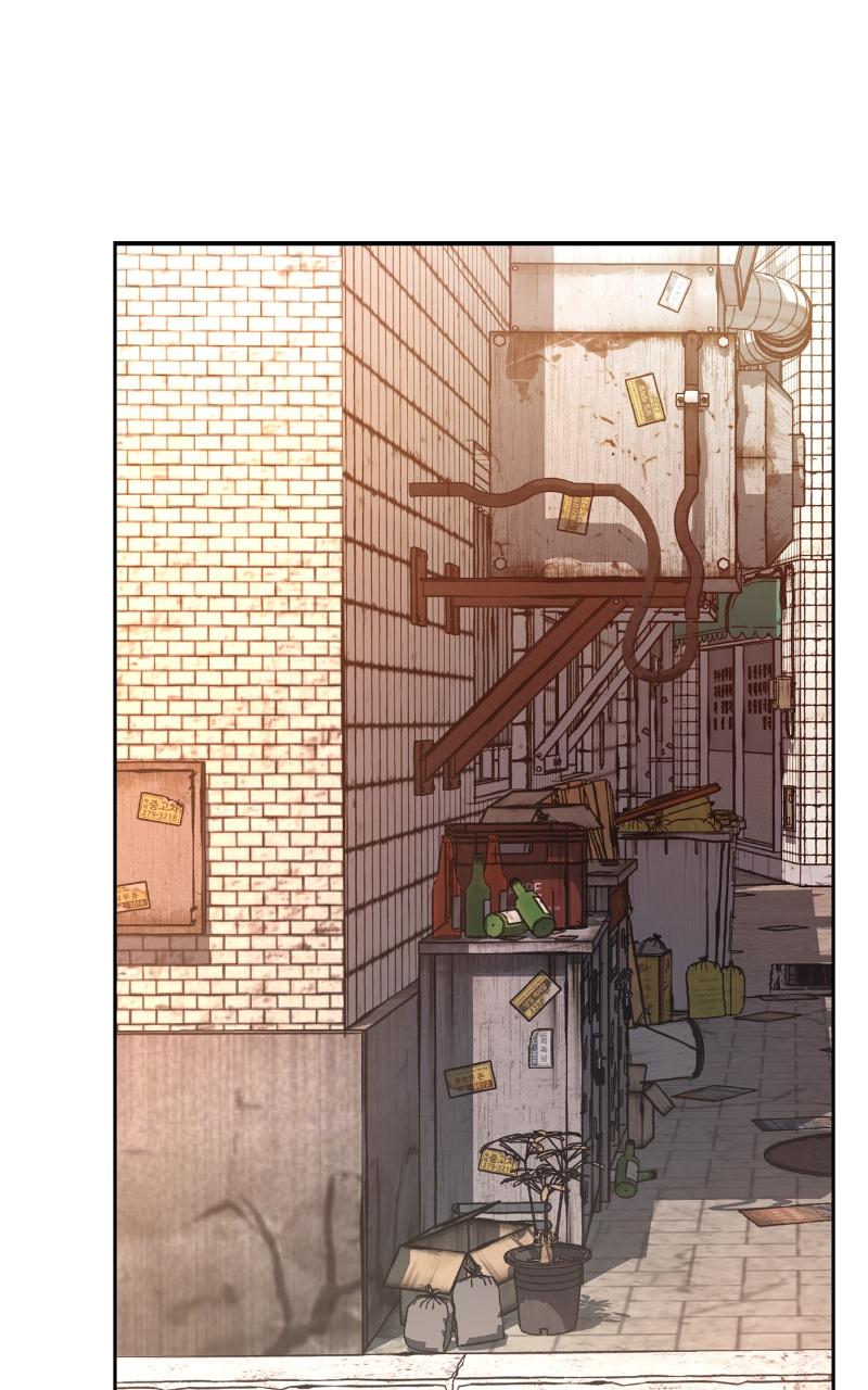 Designated Bully Chapter 12