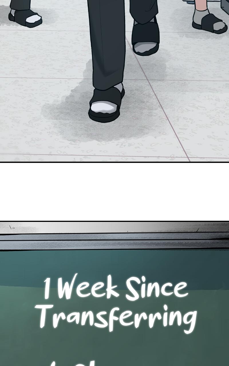 Designated Bully Chapter 20