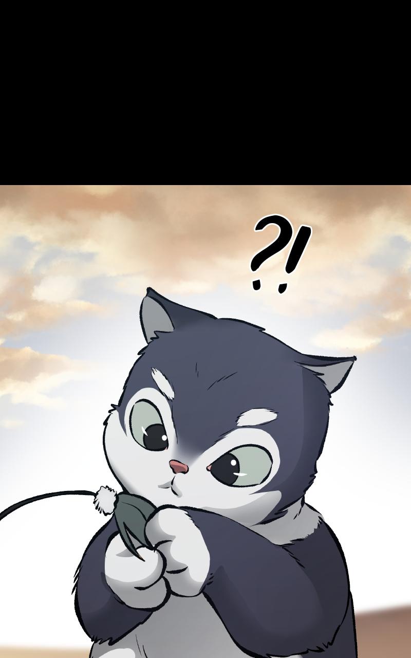 Designated Bully Chapter 46