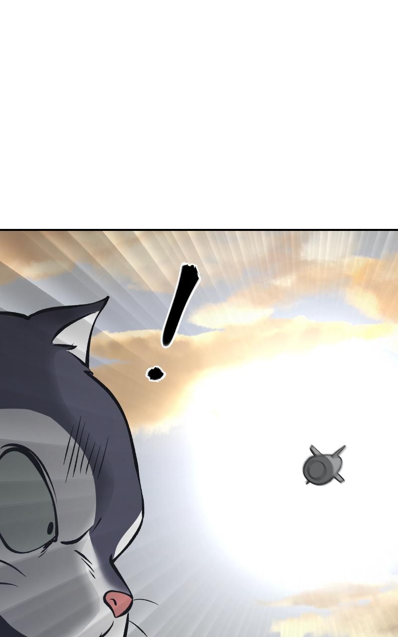 Designated Bully Chapter 46