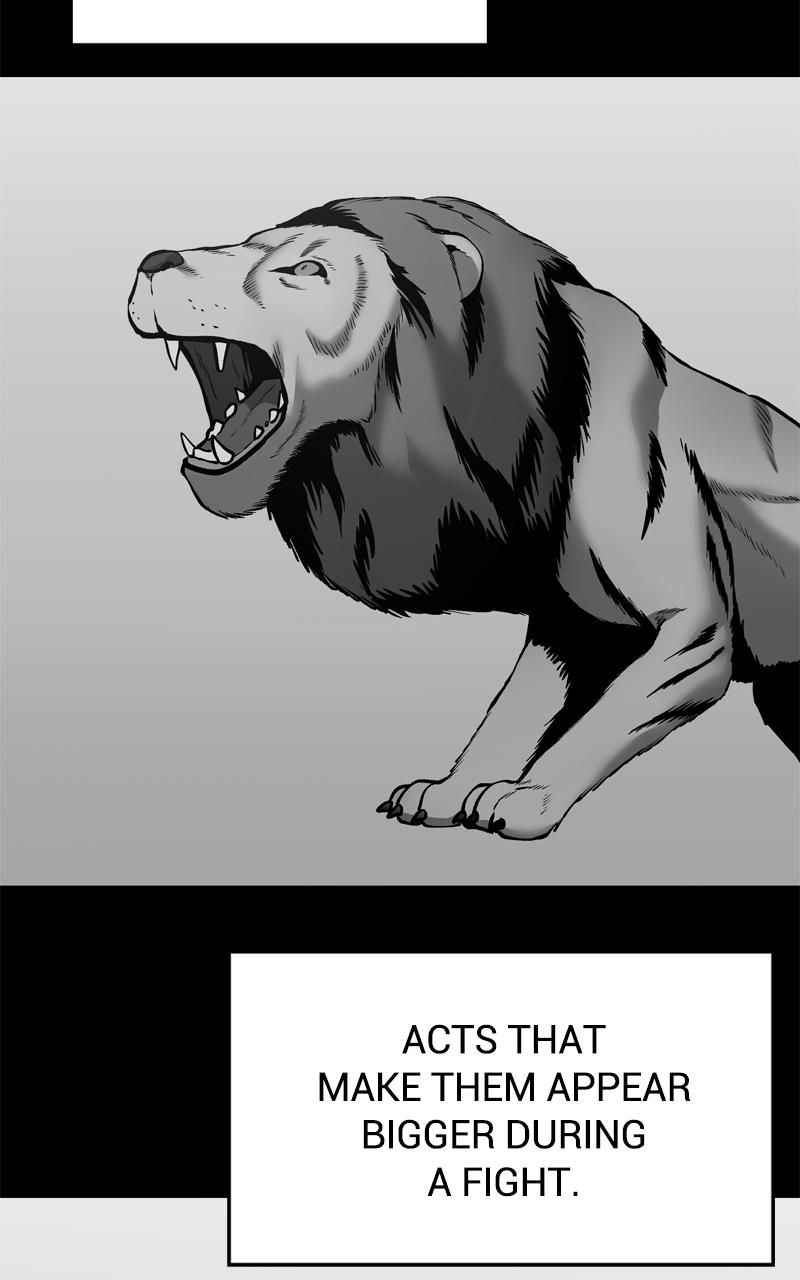 Designated Bully Chapter 49