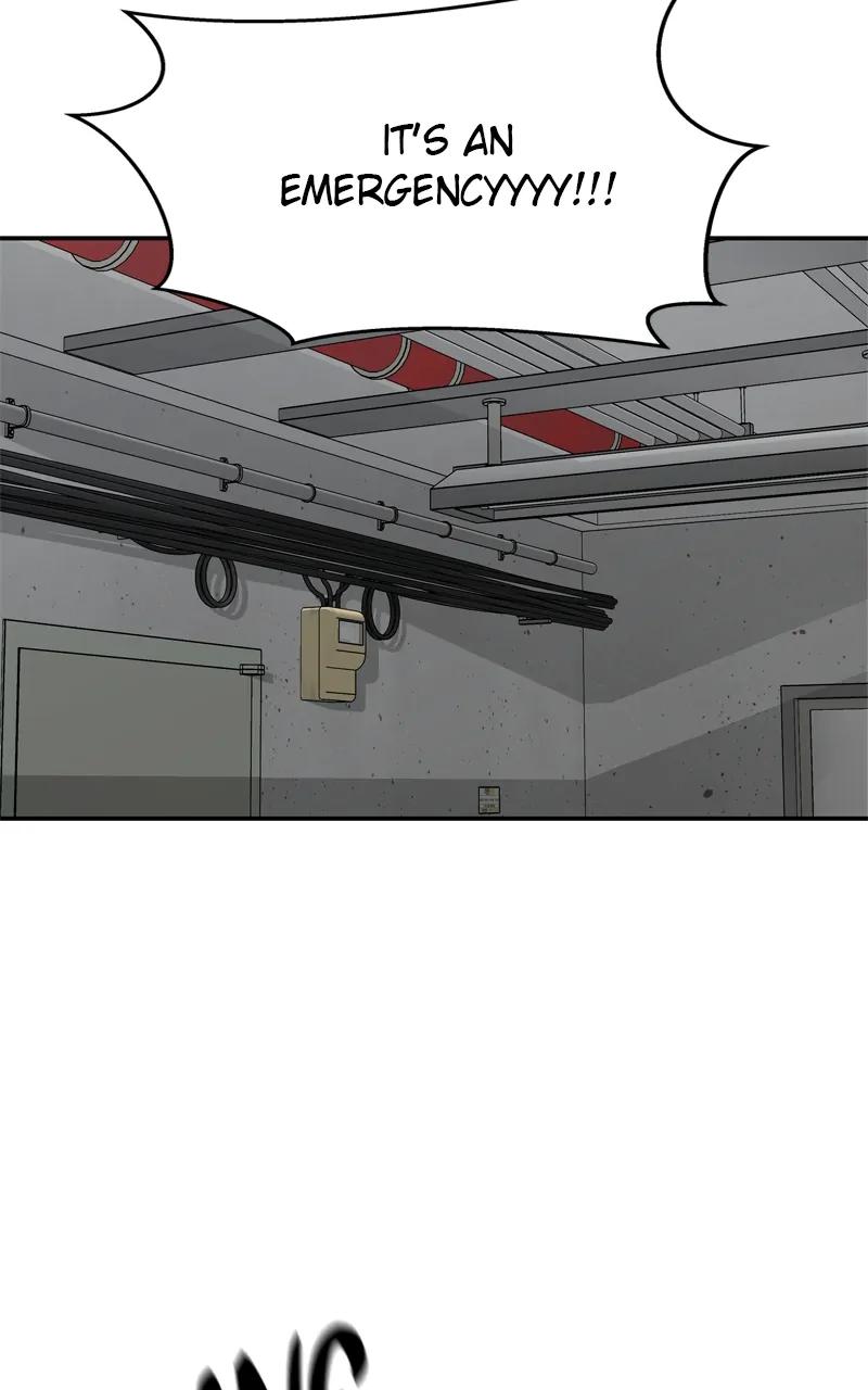 Designated Bully Chapter 88