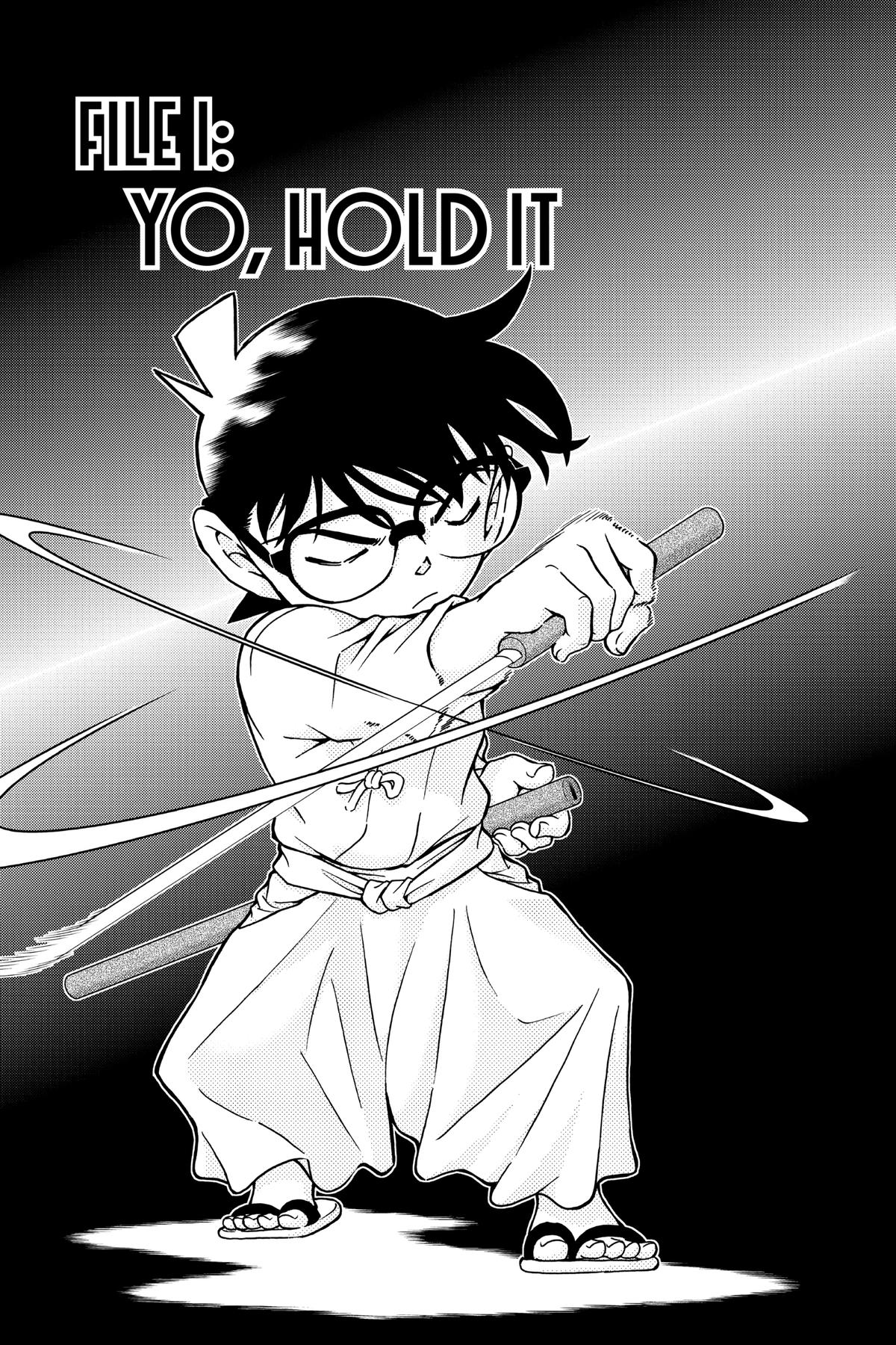 Case Closed File 993 5