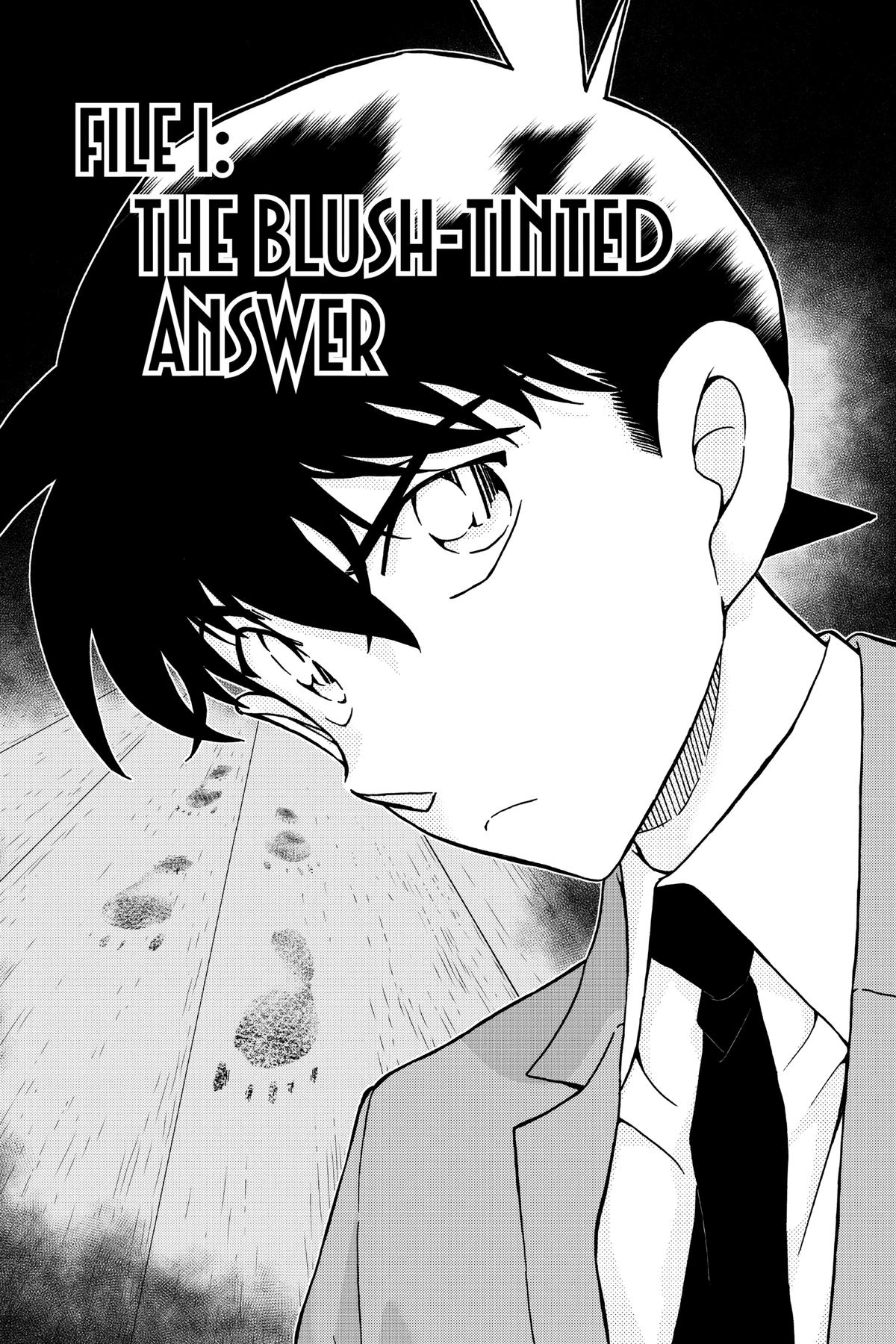 Case Closed File 1004 5