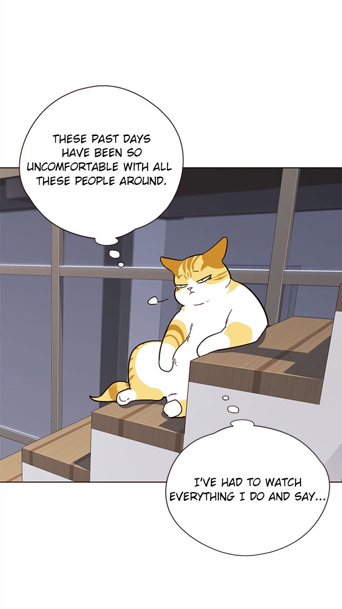Chapter 35 — Chapter 35 — Page 42