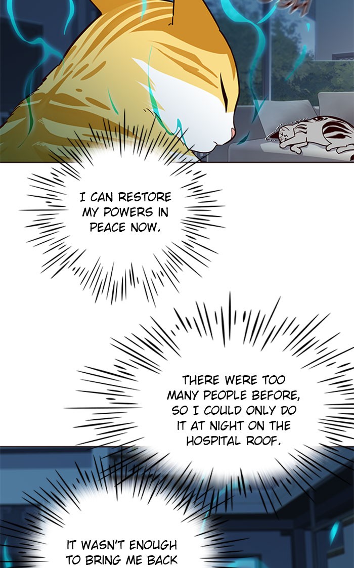 Chapter 37 — Chapter 37 — Page 44