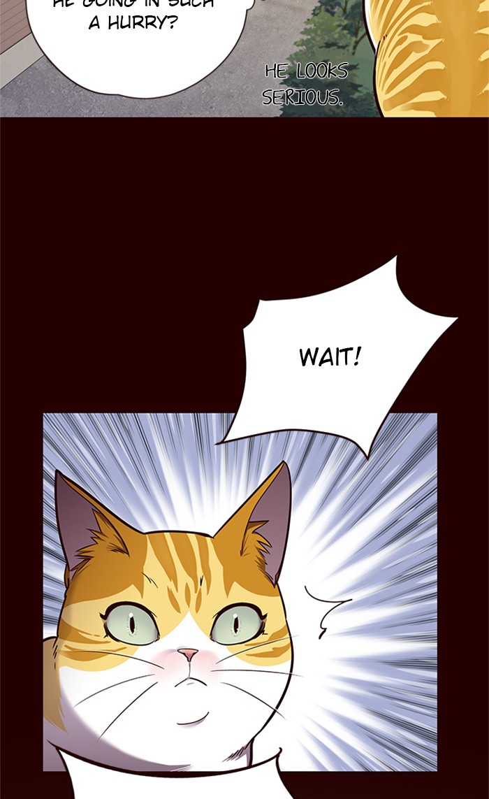 Chapter 52 — Chapter 52 — Page 40