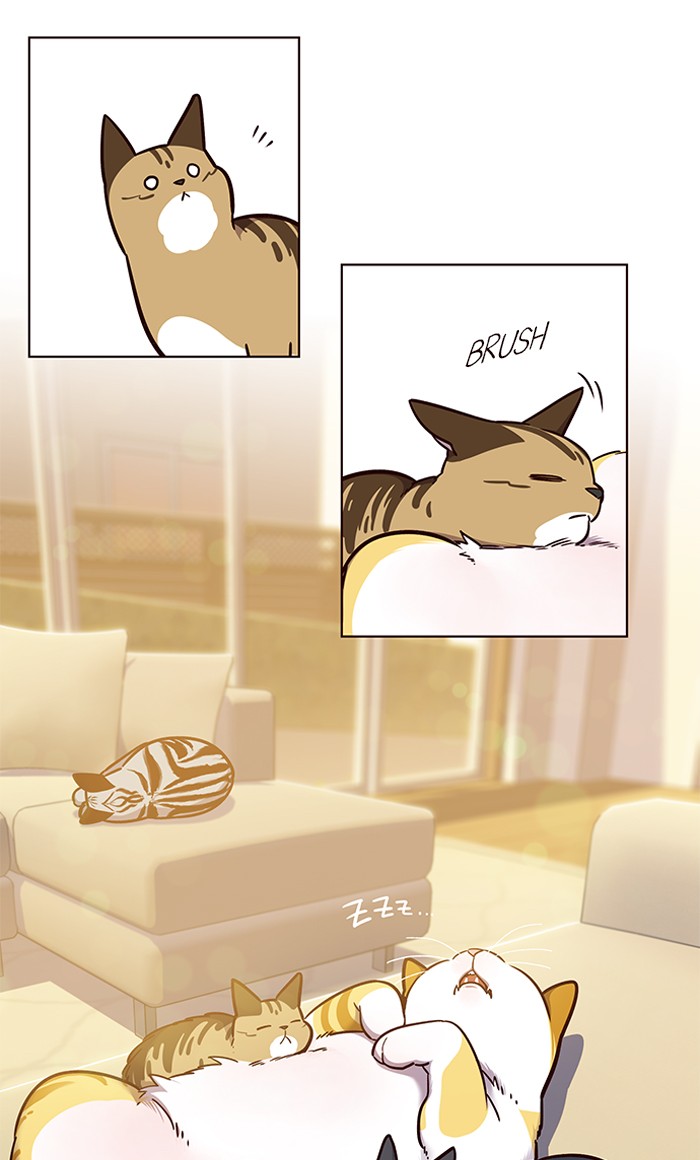 Chapter 56 — Chapter 56 — Page 21
