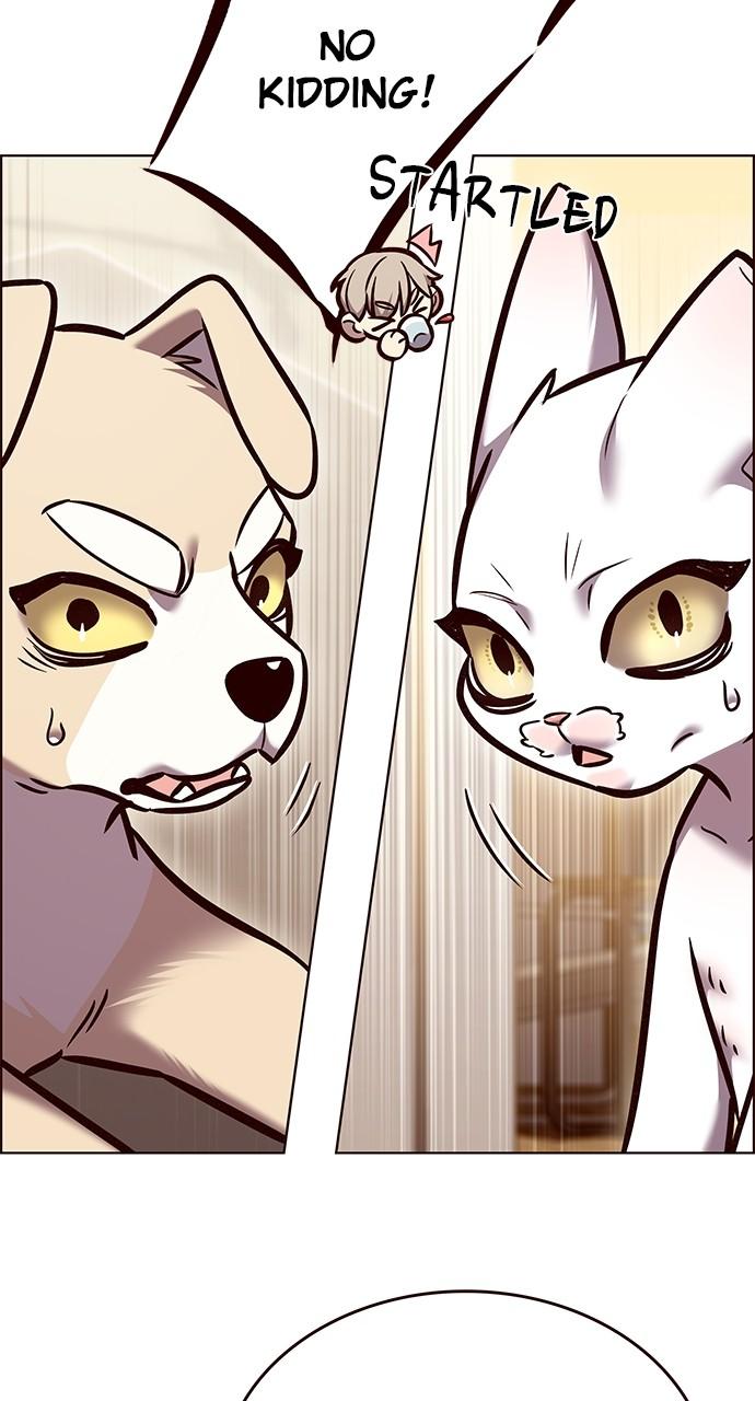 Chapter 298 — Chapter 298 — Page 11