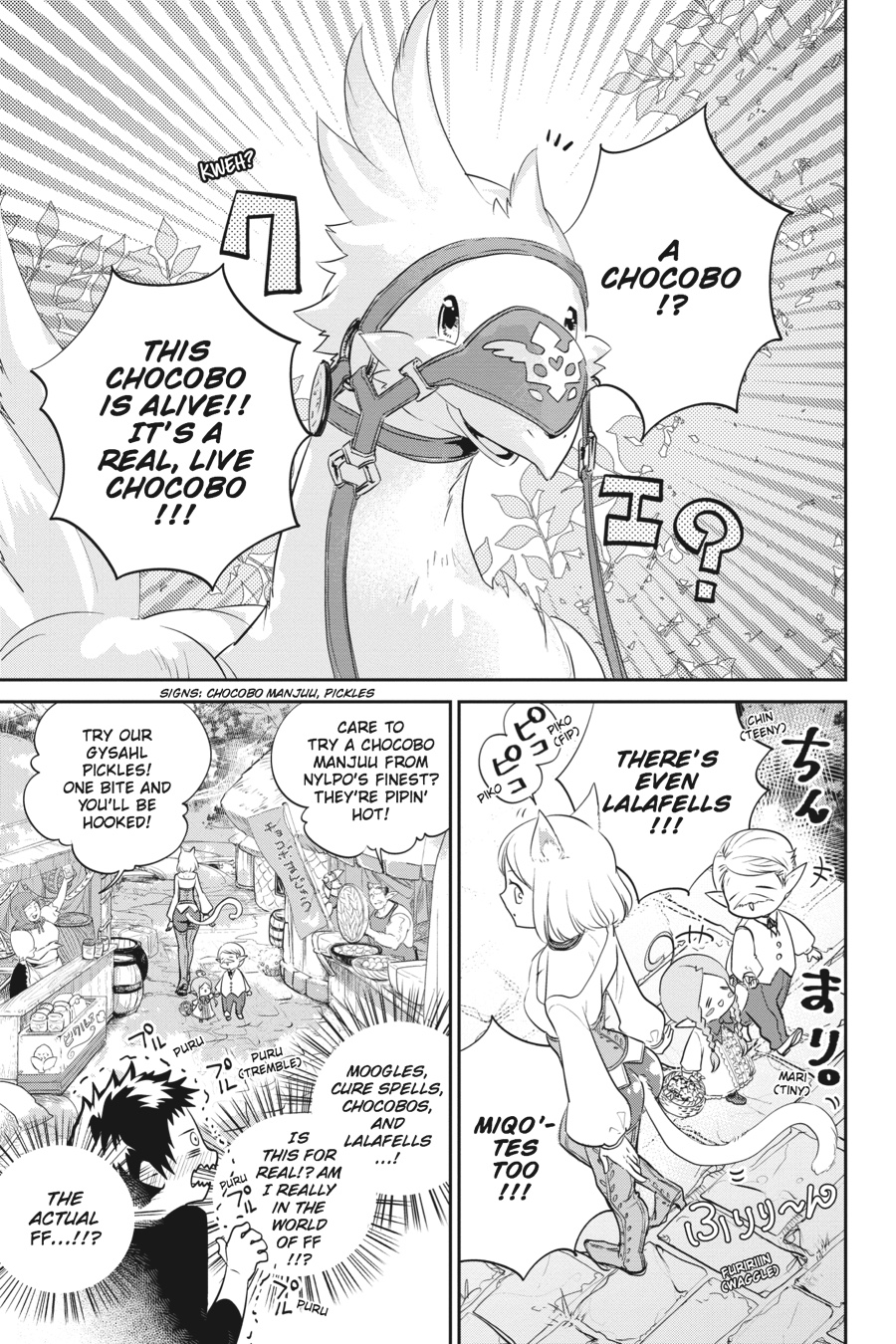 Final Fantasy - Lost Stranger Chapter 1 26