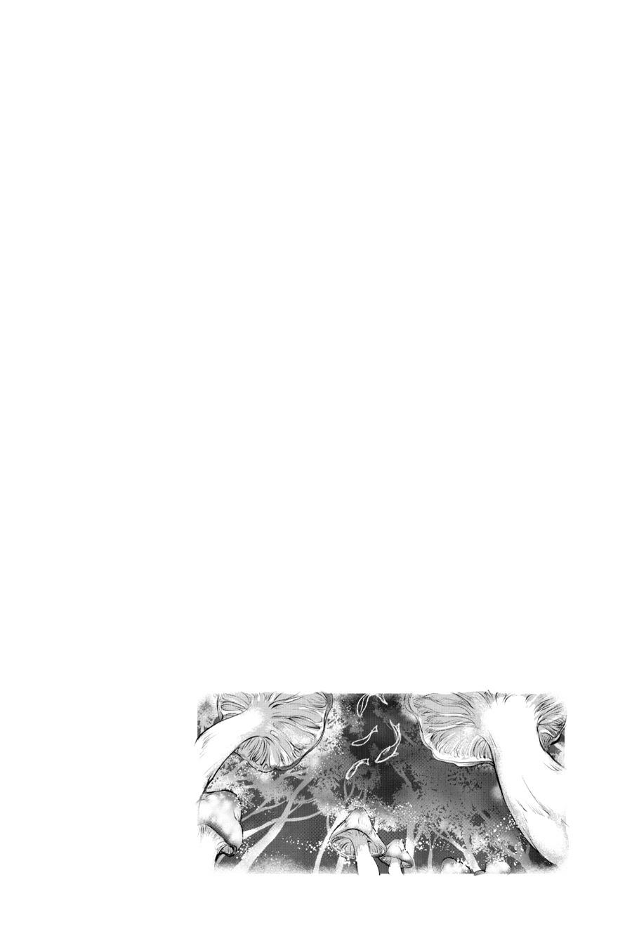 Final Fantasy - Lost Stranger Chapter 27 55