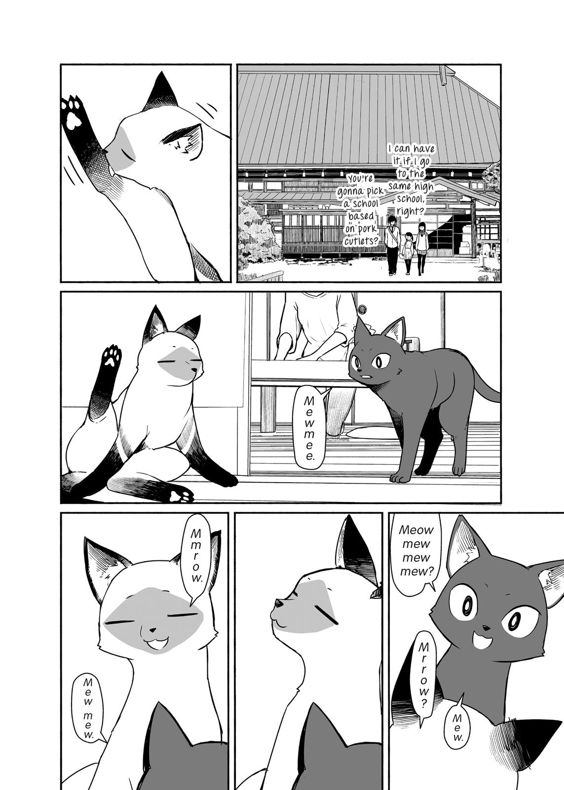 Flying Witch Chapter 33 6