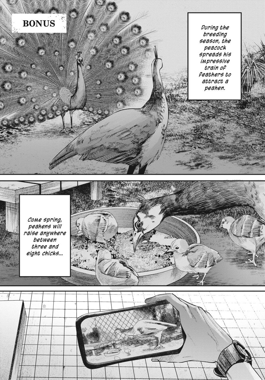 The Summer Hikaru Died Chapter 11.5