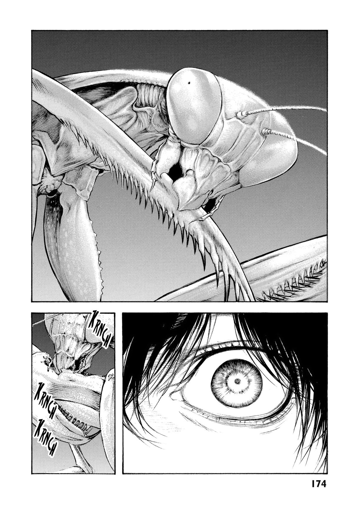 The Climber Chapter 49