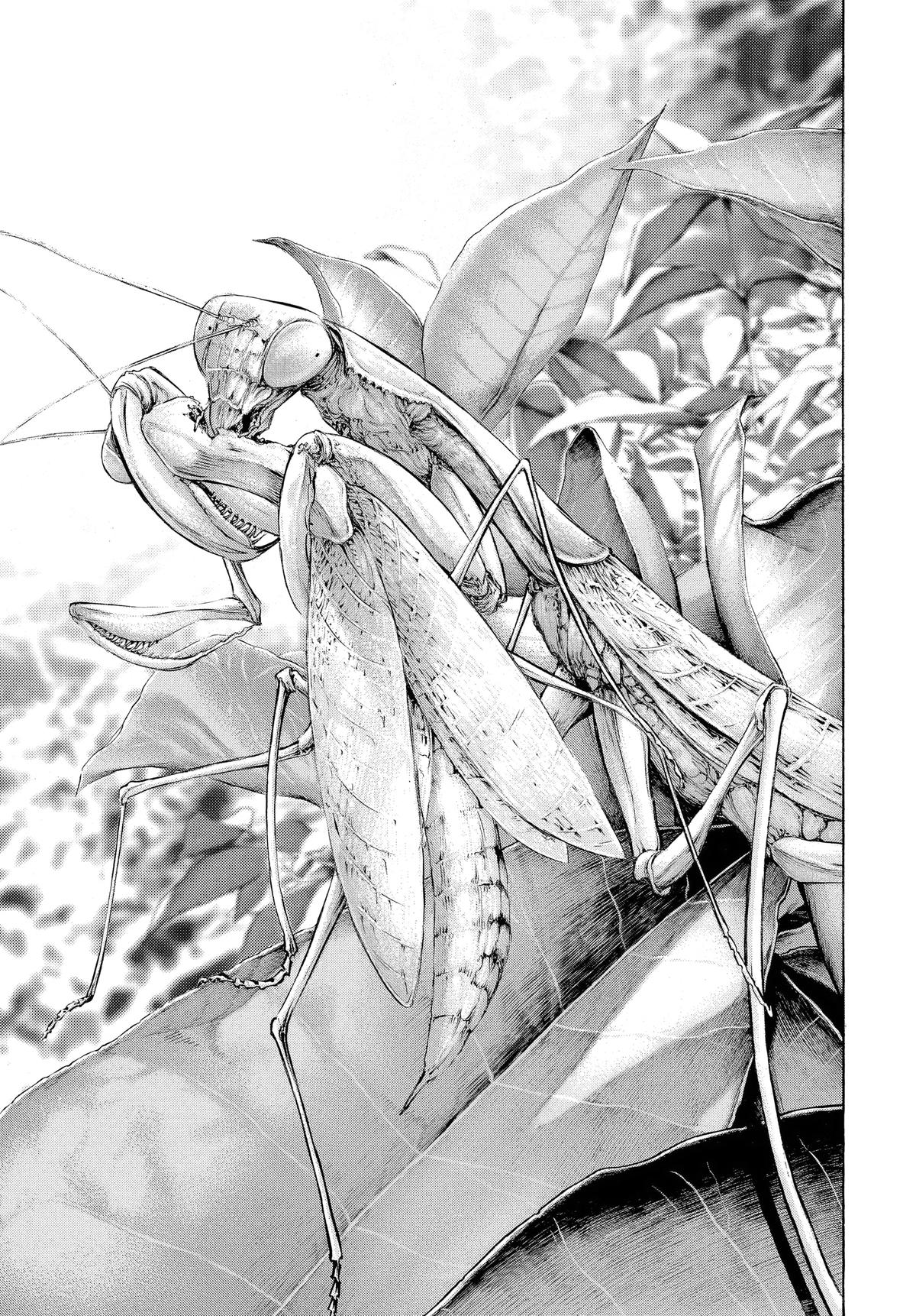 The Climber Chapter 49