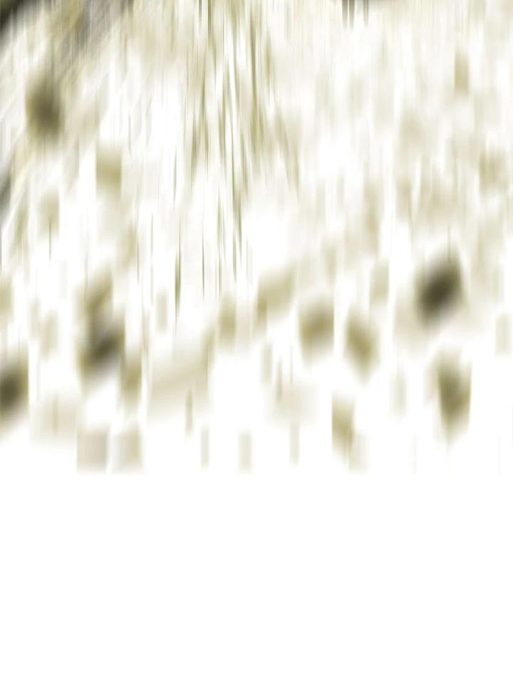 The Legend of the Northern Blade Chapter 199