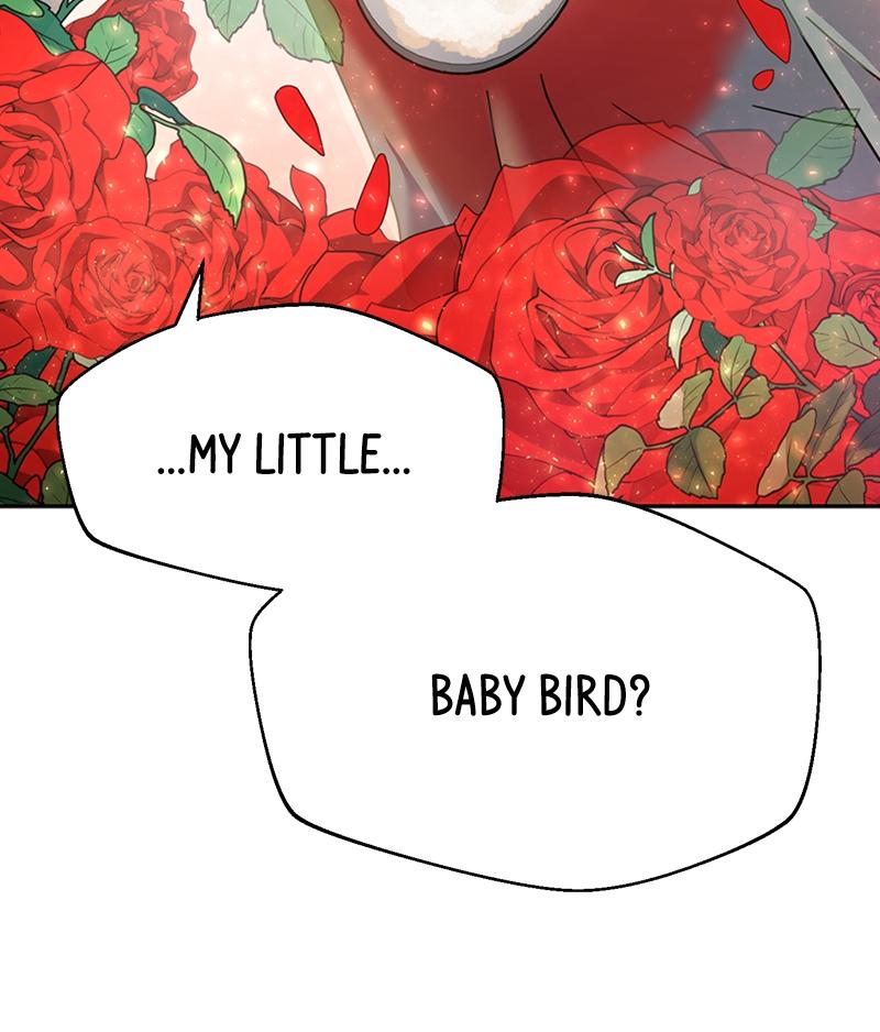 Maybe Meant to Be Chapter 51