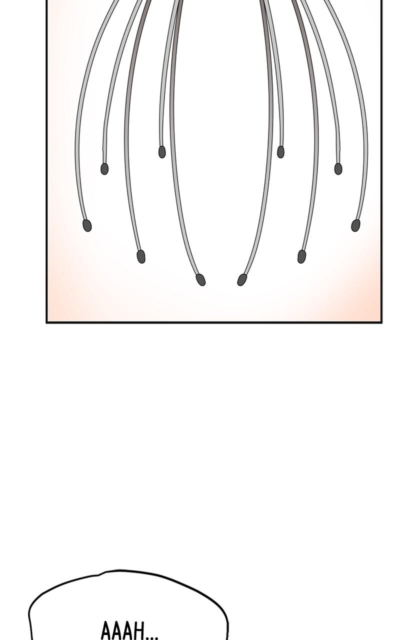 Maybe Meant to Be Chapter 71