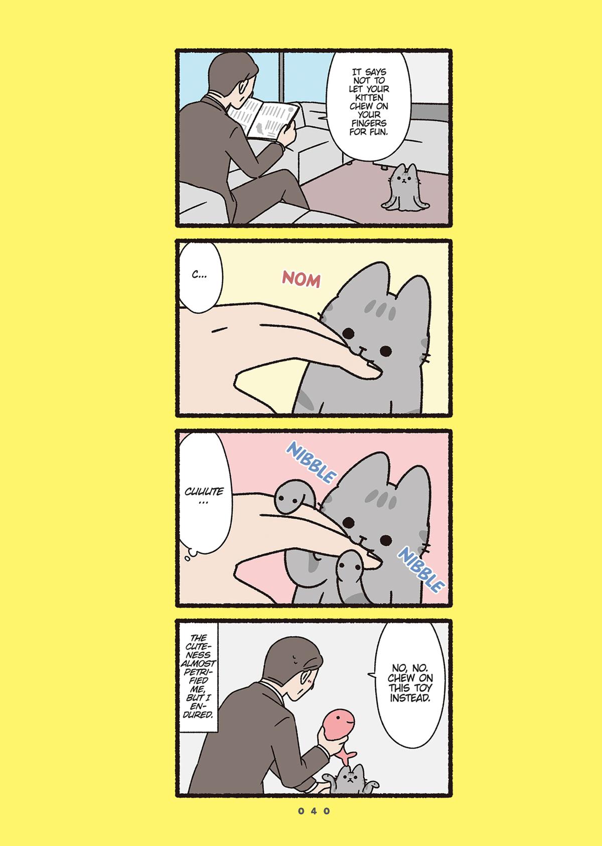 Monster Cats Volume 2 41