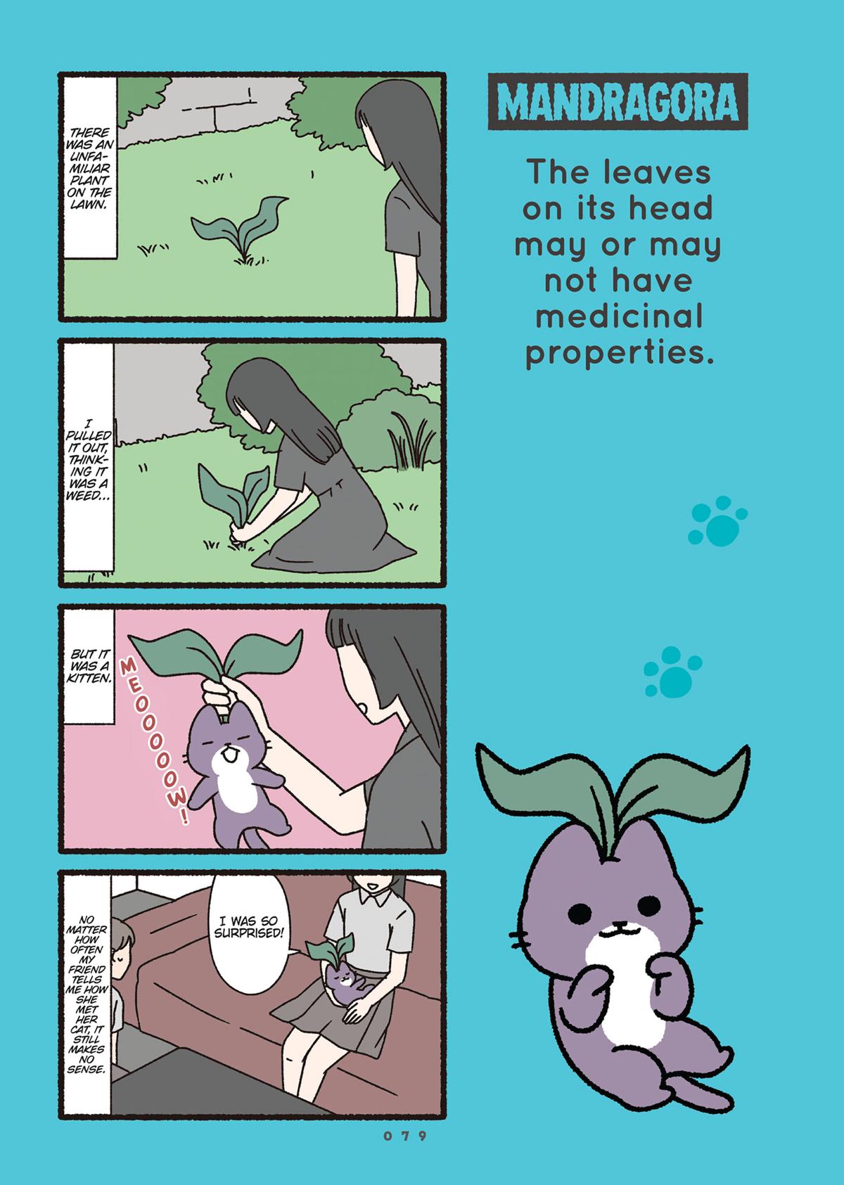 Monster Cats Volume 2 80