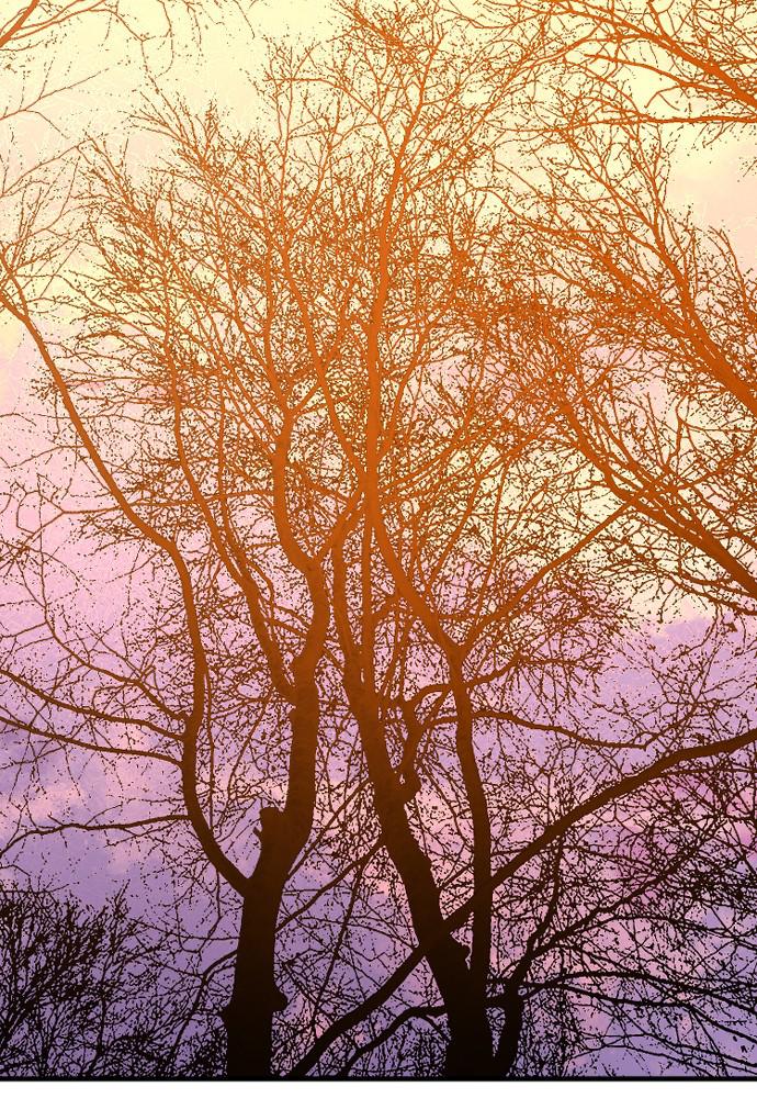 Murim RPG Simulation Episode 2 238