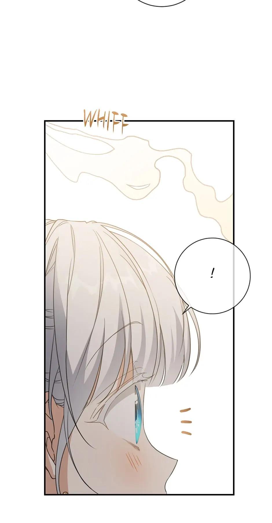 Into the Light, Once Again Chapter 63 27