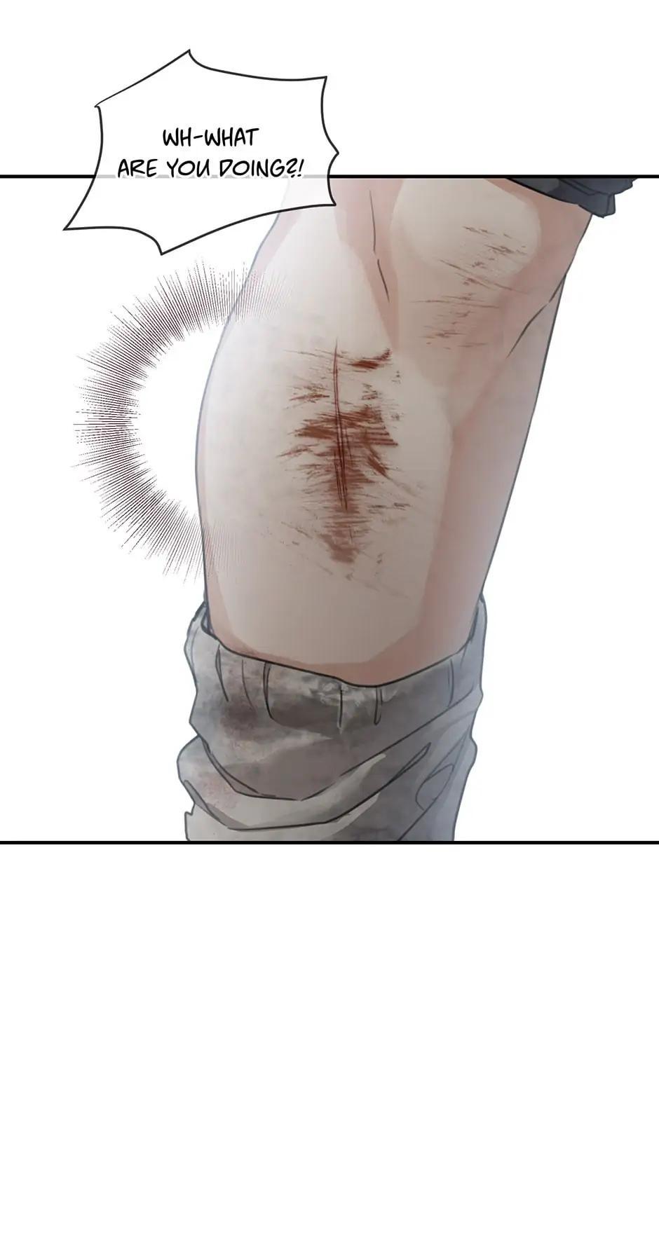 Into the Light, Once Again Chapter 65 29