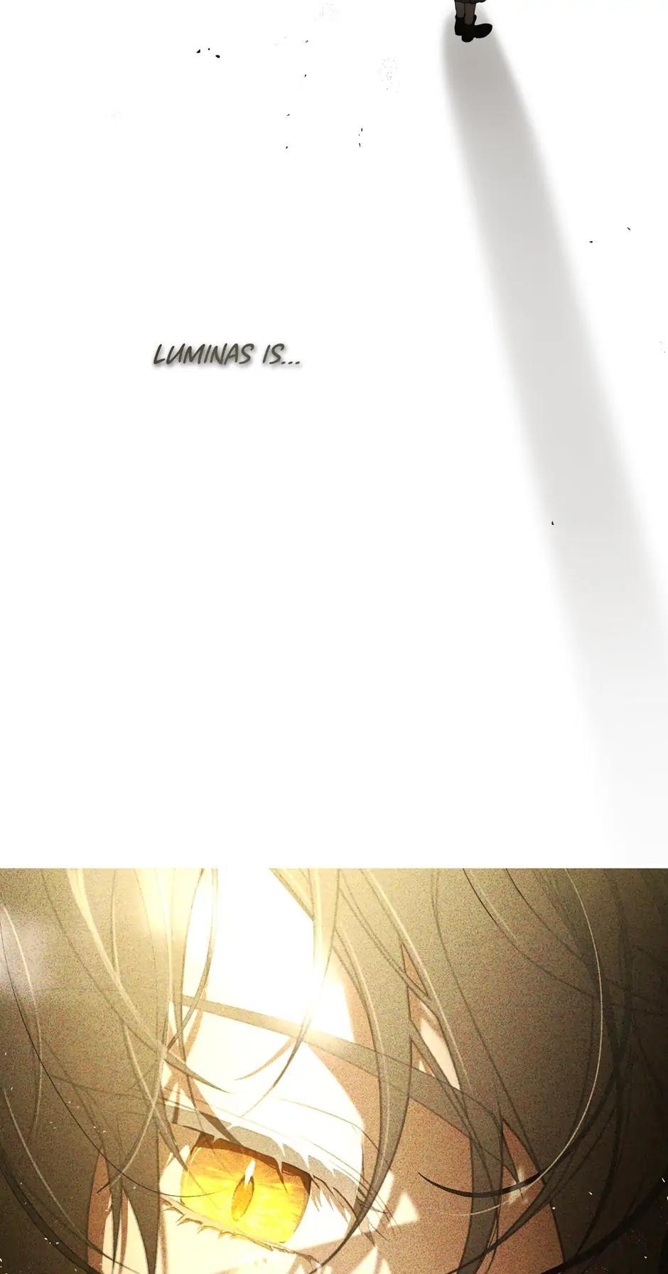 Into the Light, Once Again Chapter 66 11