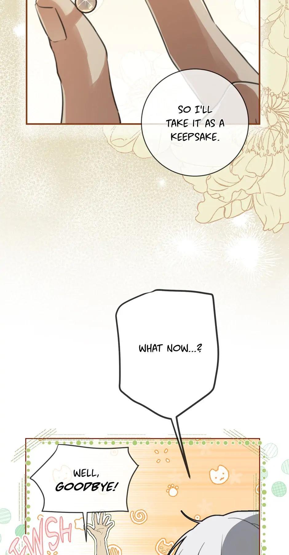 Into the Light, Once Again Chapter 66 55