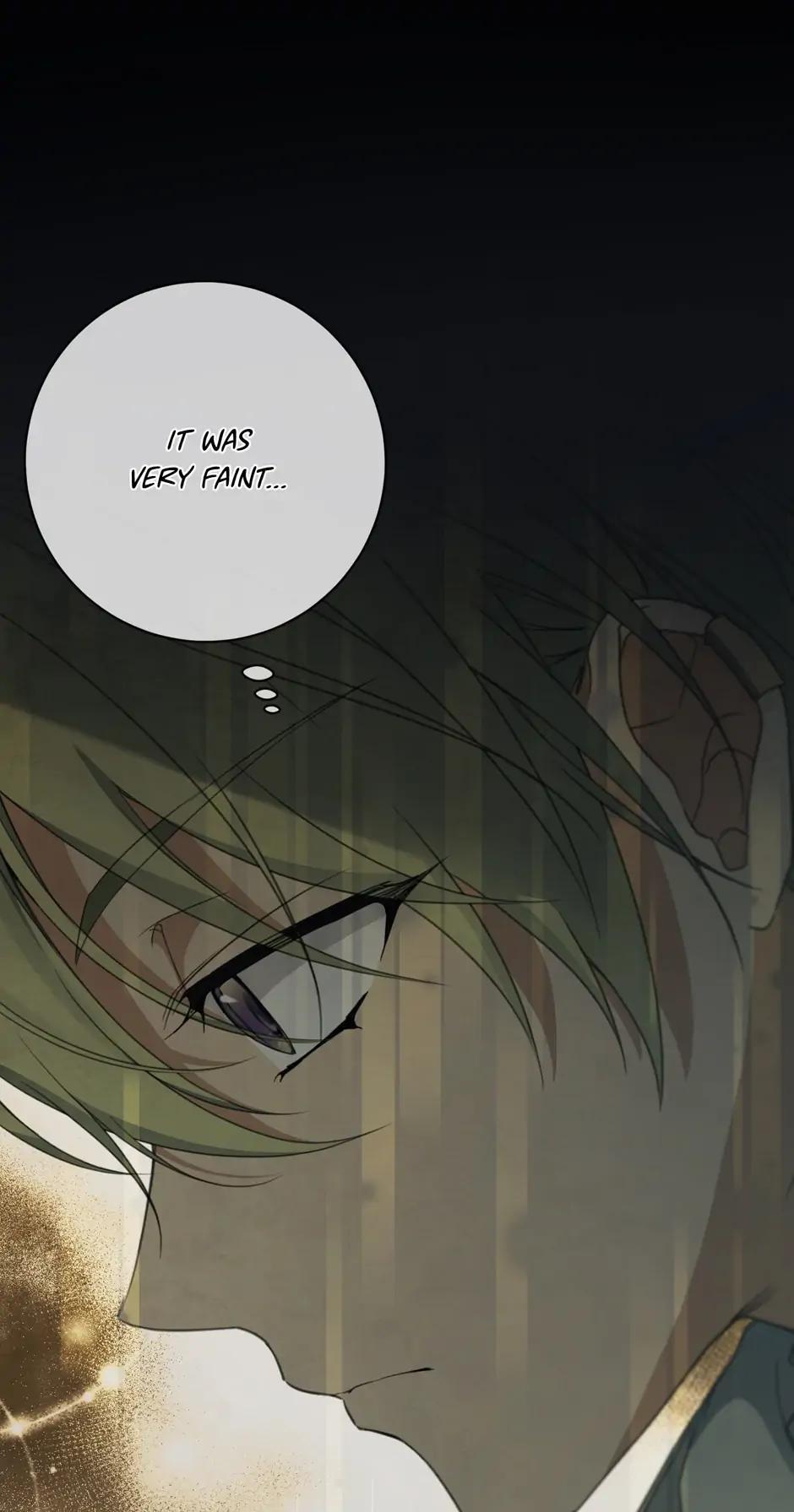 Into the Light, Once Again Chapter 66 60