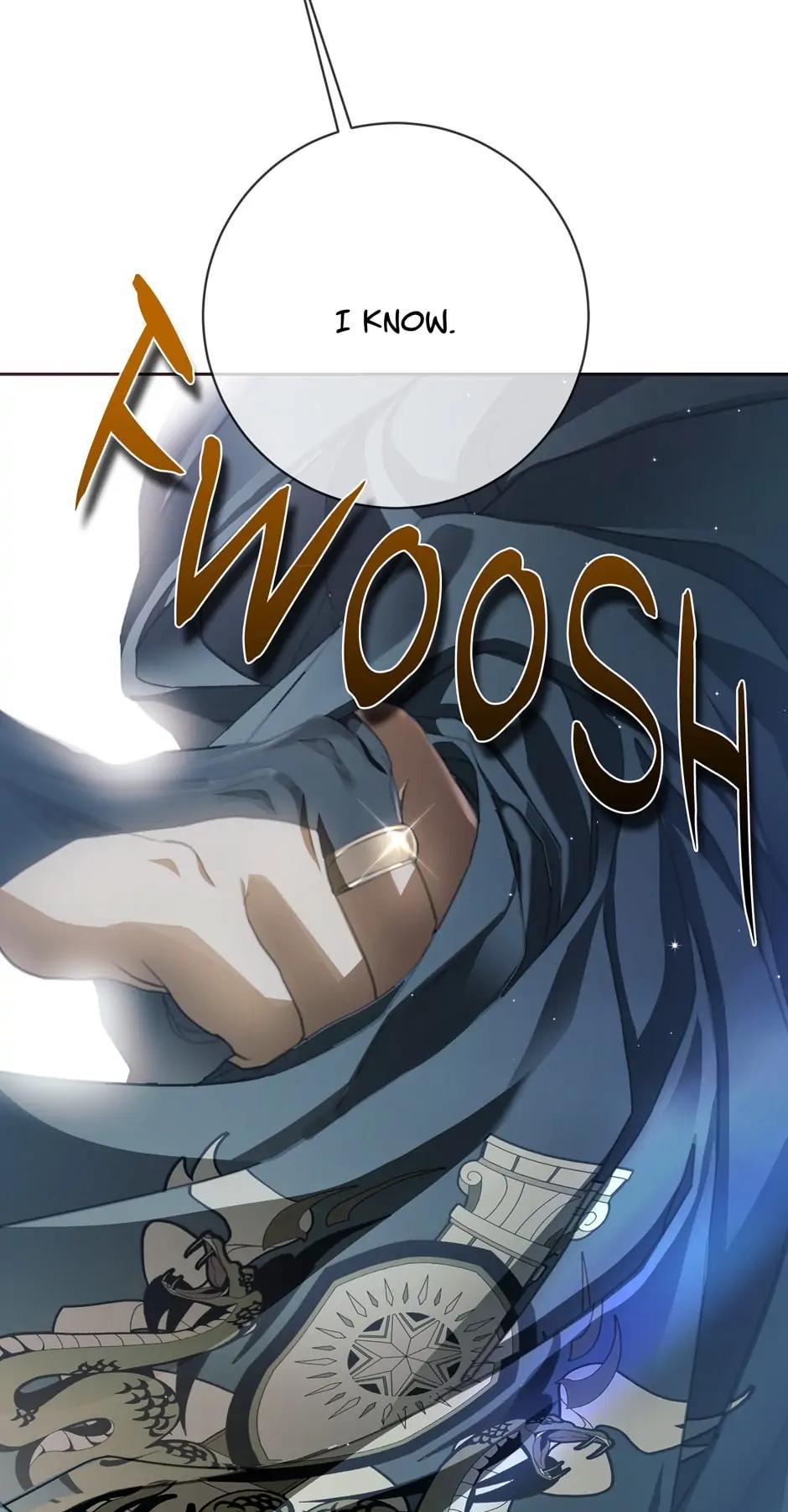 Into the Light, Once Again Chapter 66 73