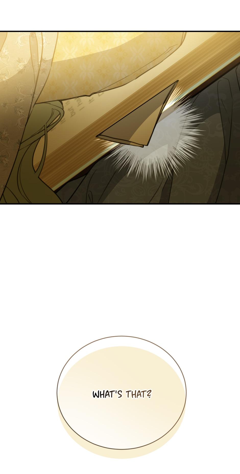Into the Light, Once Again Chapter 76 64