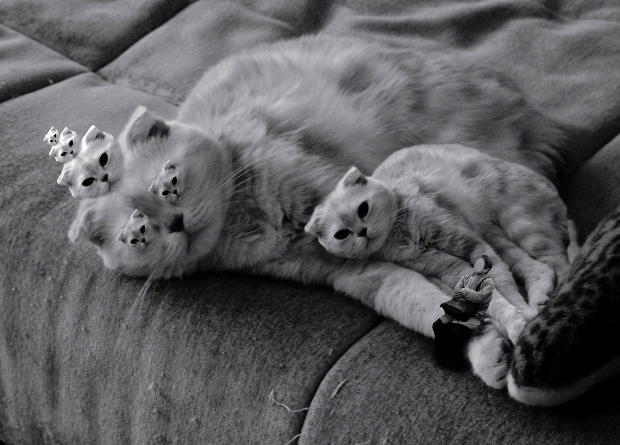 Goodnight Punpun Chapter 76