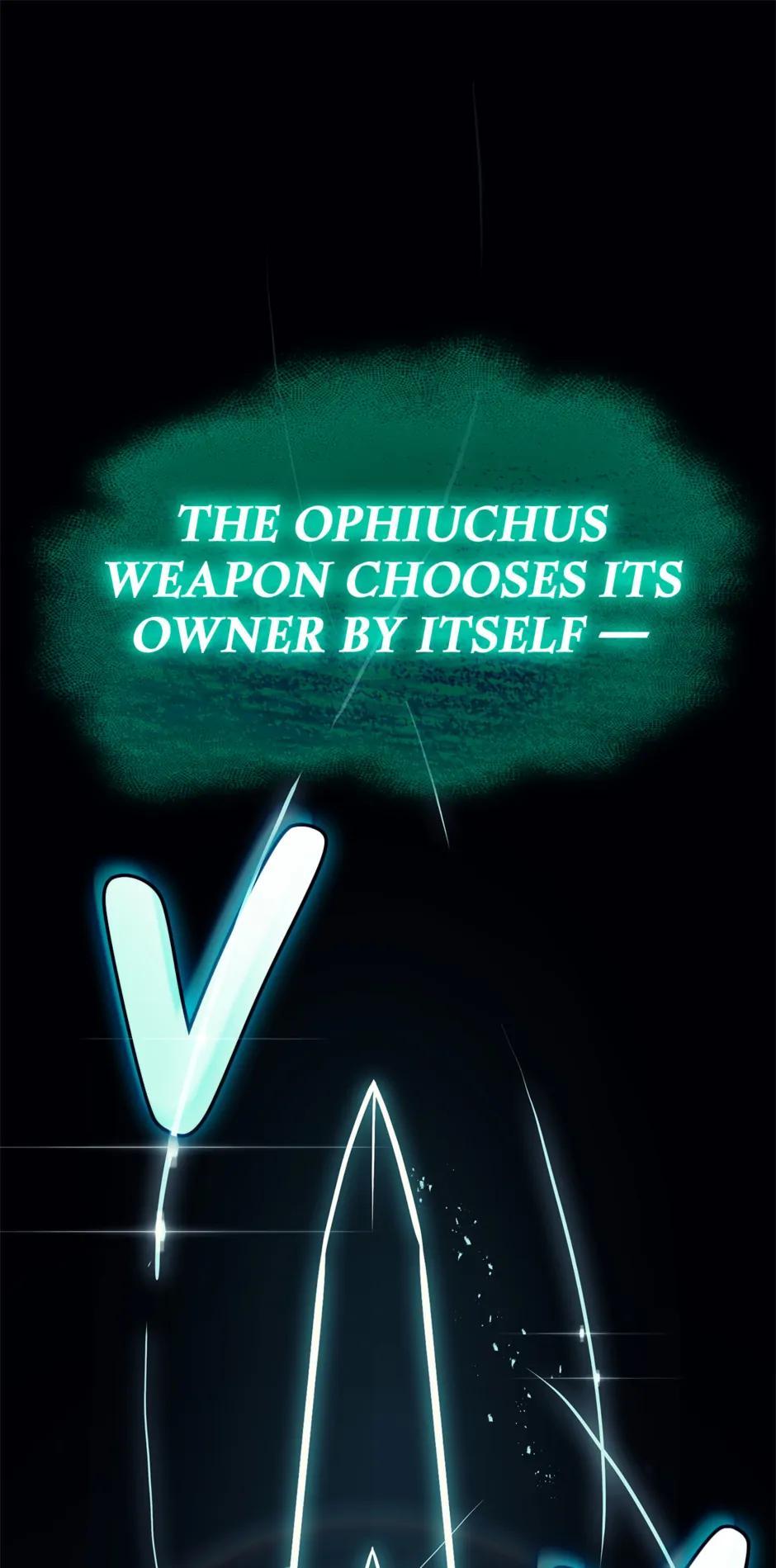 The Return of the Disaster-Class Hero Chapter 79