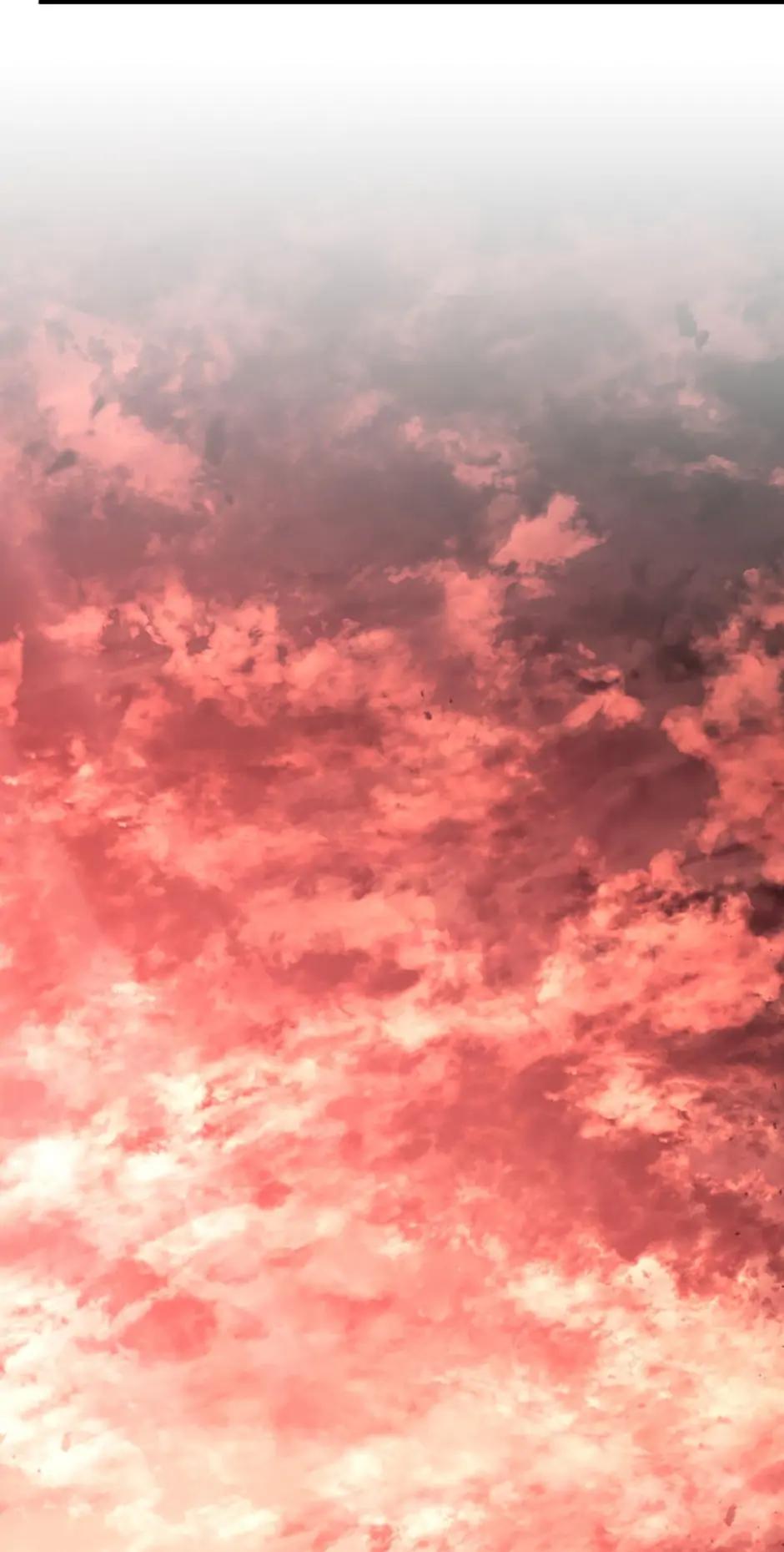 Revenge of the Baskerville Bloodhound Chapter 25