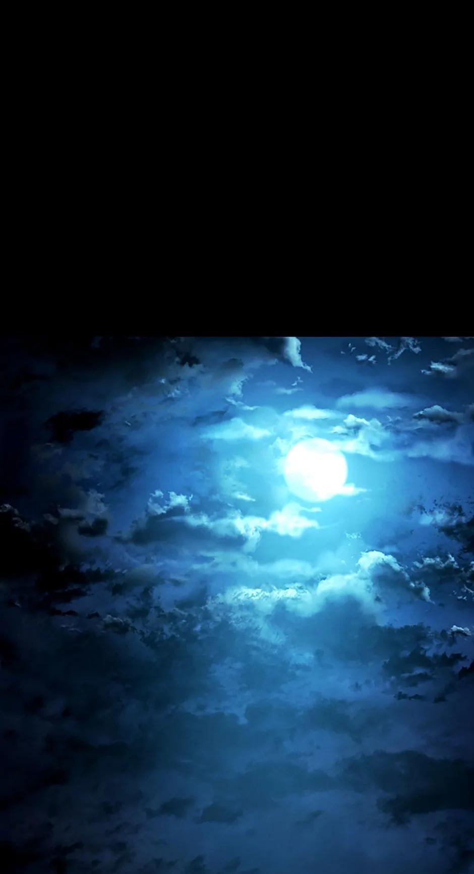 Revenge of the Baskerville Bloodhound Chapter 31