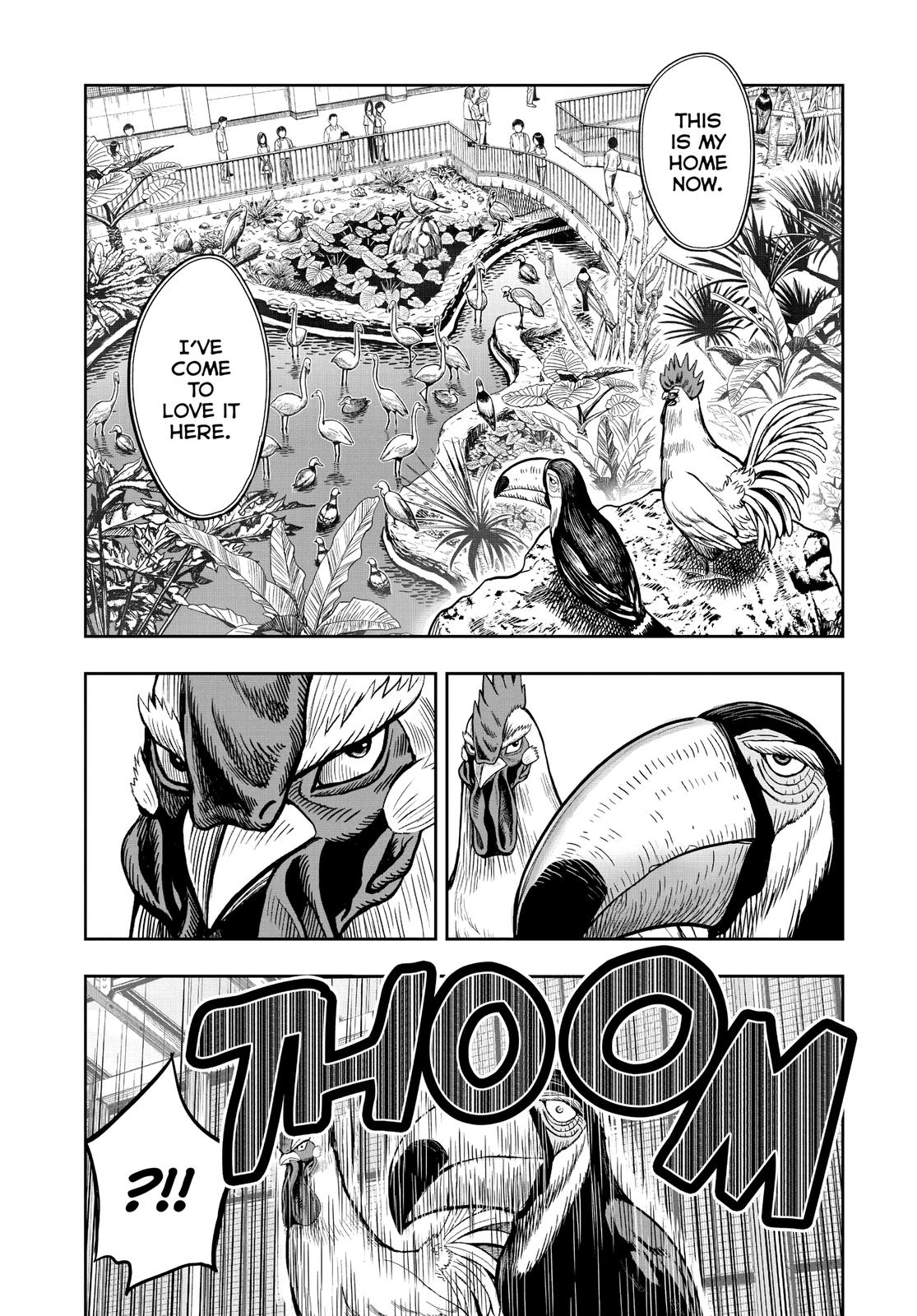 Rooster Fighter Chapter 3 16