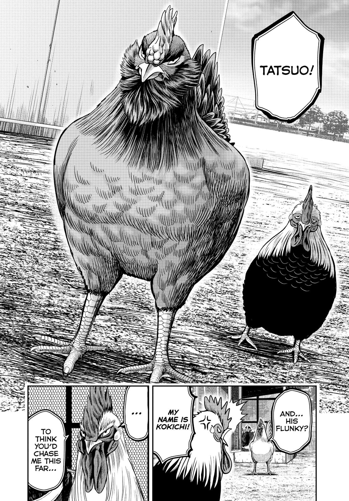Rooster Fighter Chapter 11 17