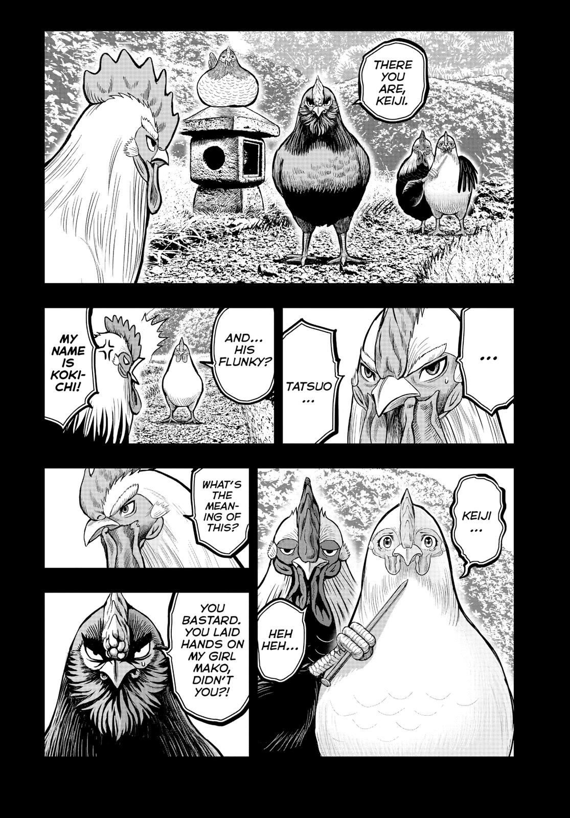 Rooster Fighter Chapter 11 21