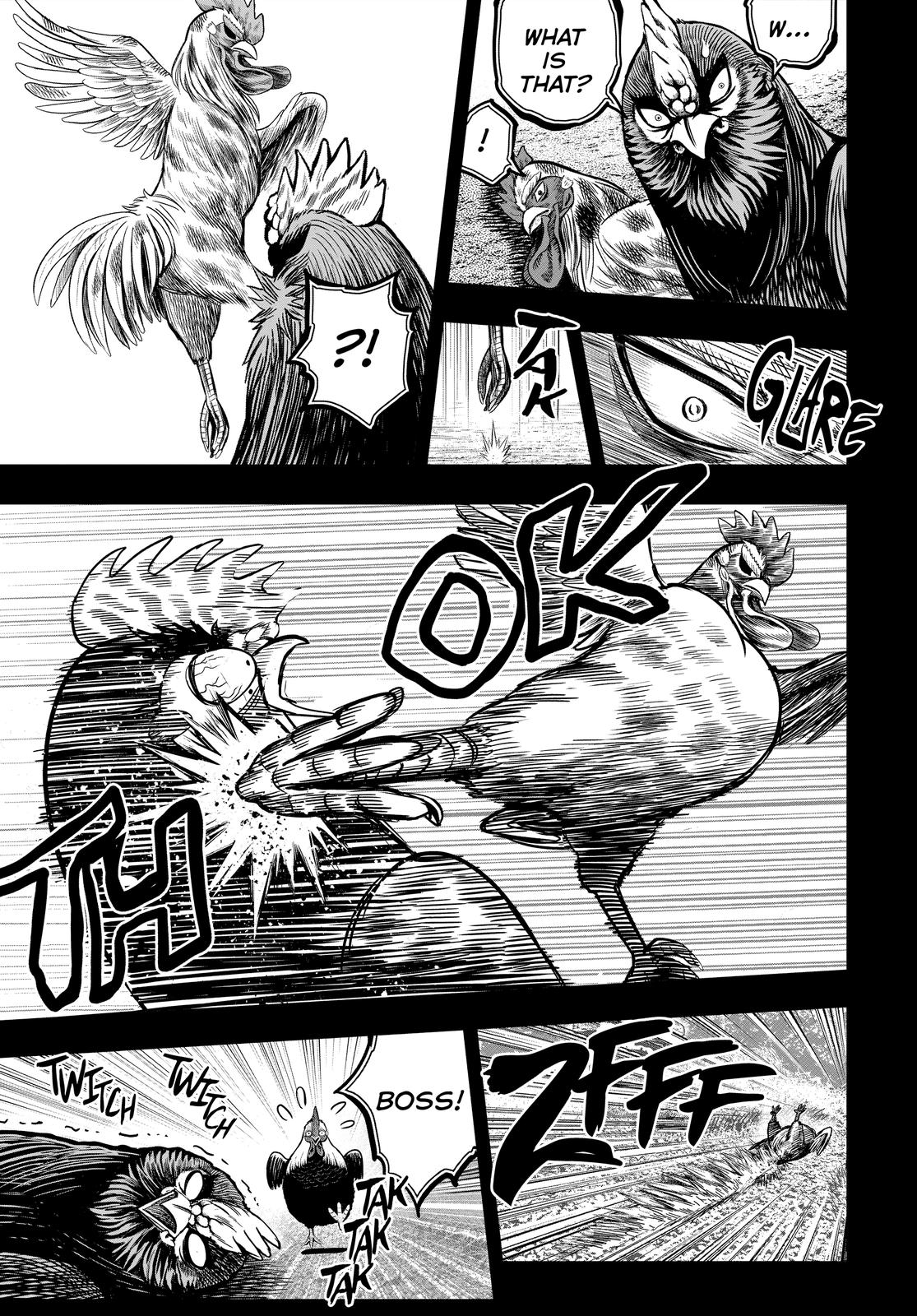 Rooster Fighter Chapter 11 26