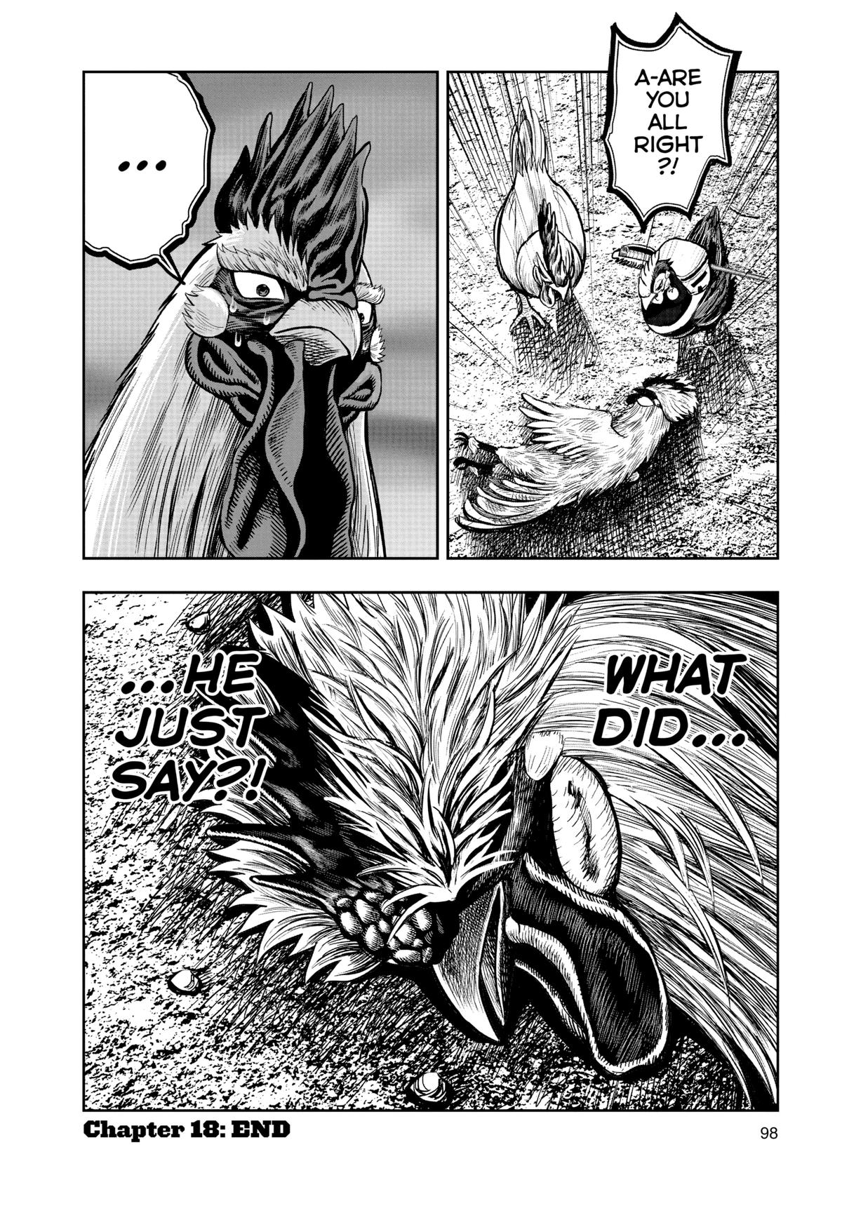 Rooster Fighter Chapter 18 33