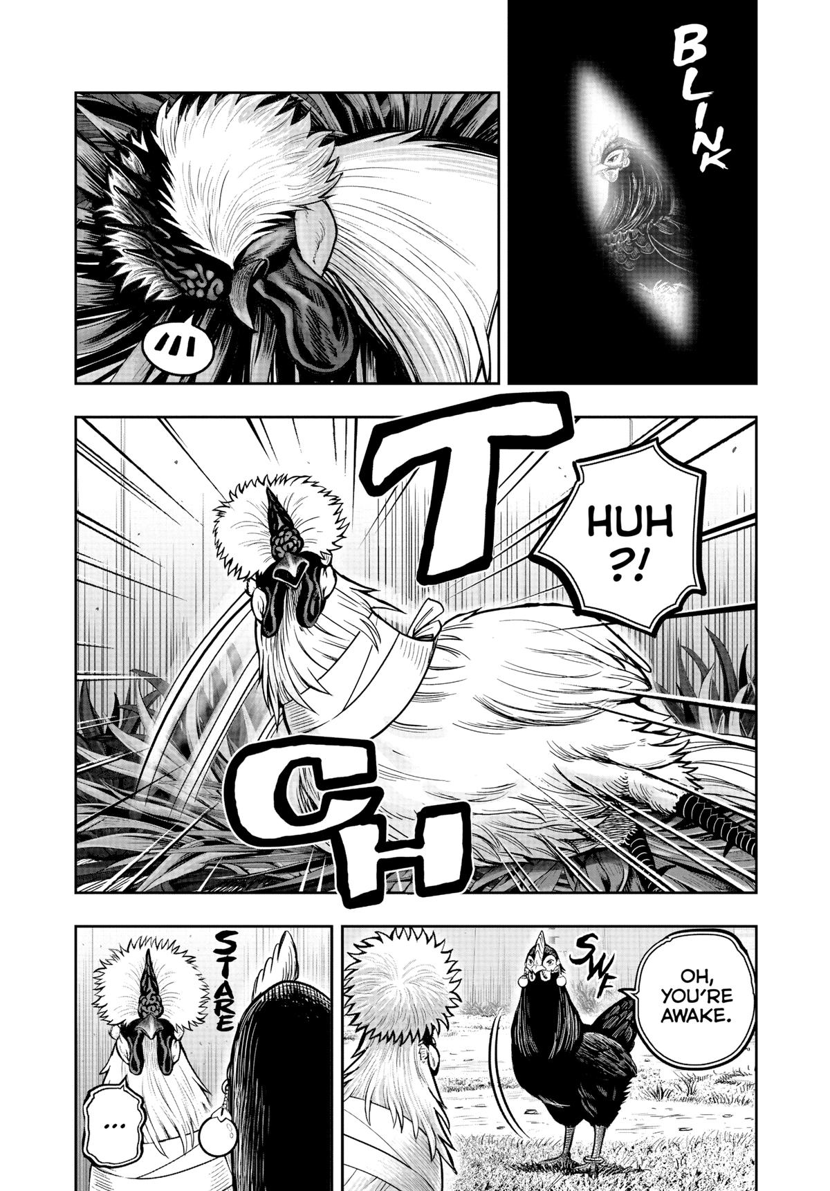 Rooster Fighter Chapter 19 4
