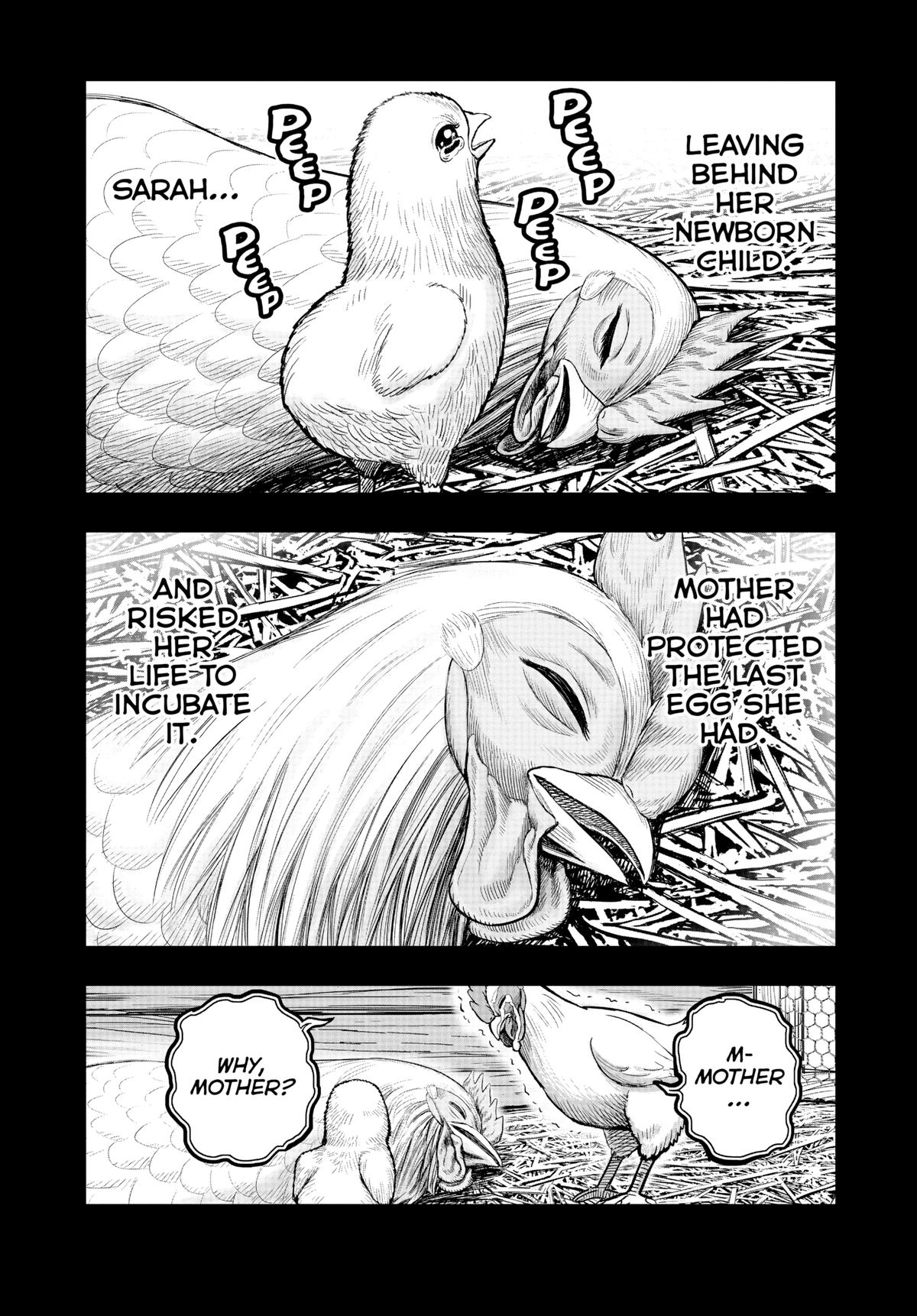 Rooster Fighter Chapter 19 21