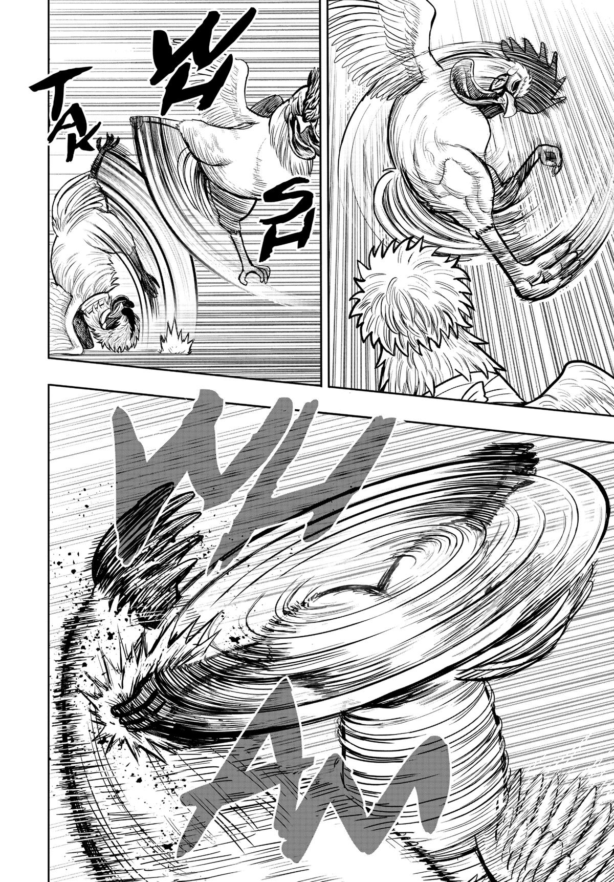Rooster Fighter Chapter 19 30