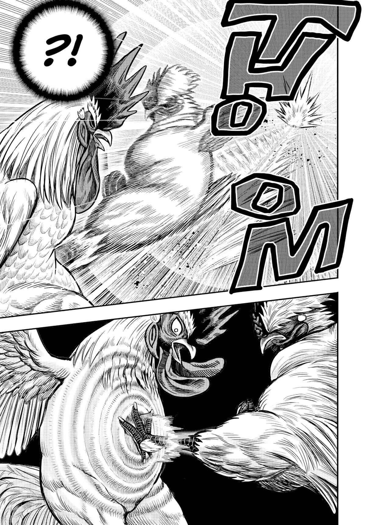 Rooster Fighter Chapter 19 37